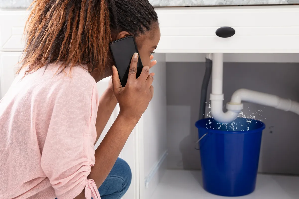 Affordable Plumbing Services for Homeowners and Businesses in Sherwood Forrest, CA.